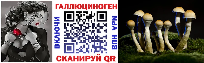 МЕГА ТОР  Губаха  маркетплейс наркотические препараты  Псилоцибиновые грибы Magic Shrooms 